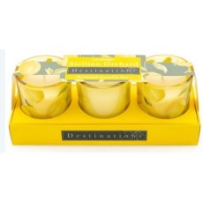 3 Mini Votives - Sicilian Orchard 3 Mini Votives - Sicilian Orchard