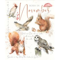 11 November Animal