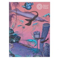 Sketchbooks A5 Natural History Museum Sealife Sketchbooks A5 Natural History Museum Sealife