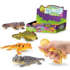 Colour Changing Lizard