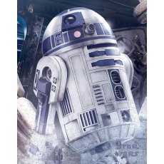 12 SW The Last Jedi (R2D2)