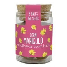 Seedball Wildflower Jars Marigold Seedball Wildflower Jars Marigold