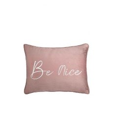 Be Nice Cushion