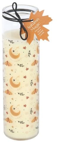 Autumn Magic Pumpkin Spice Fall Tube Candle