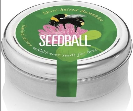 Seedball Tin Short Haired Bumble Bee