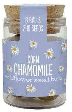 Seedball Wildflower Jars Chamomile