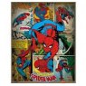 8 Marvel Comics - Spiderman (retro) Small Poster