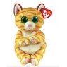 TY Beanie Bellies Mango Cat
