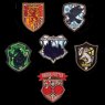 Funko Loungefly Blind Box Pin Harry Potter