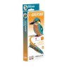Eugy Kingfisher